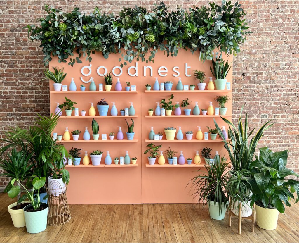 Brand Launch Party Product Display 